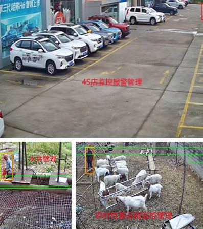 無(wú)電無(wú)網(wǎng)少人煙的野外，還想裝監(jiān)控系統(tǒng)？這不是空想