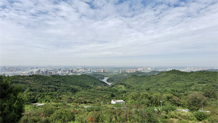 AI視頻聯(lián)網(wǎng)報(bào)警系統(tǒng)可以解決哪些景區(qū)的痛點(diǎn)