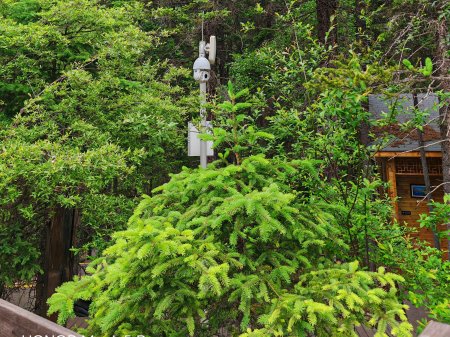 夏季來臨，AI視頻監(jiān)控新防下水算法解決管理難題
